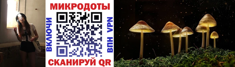 Псилоцибиновые грибы мицелий  Бодайбо 
